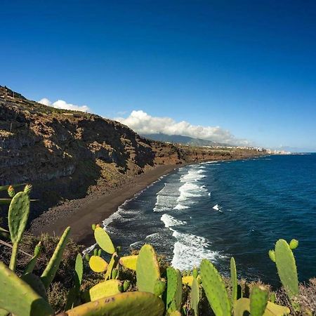 Dragos Del Mar , Espacio Natural La Orotava Kültér fotó