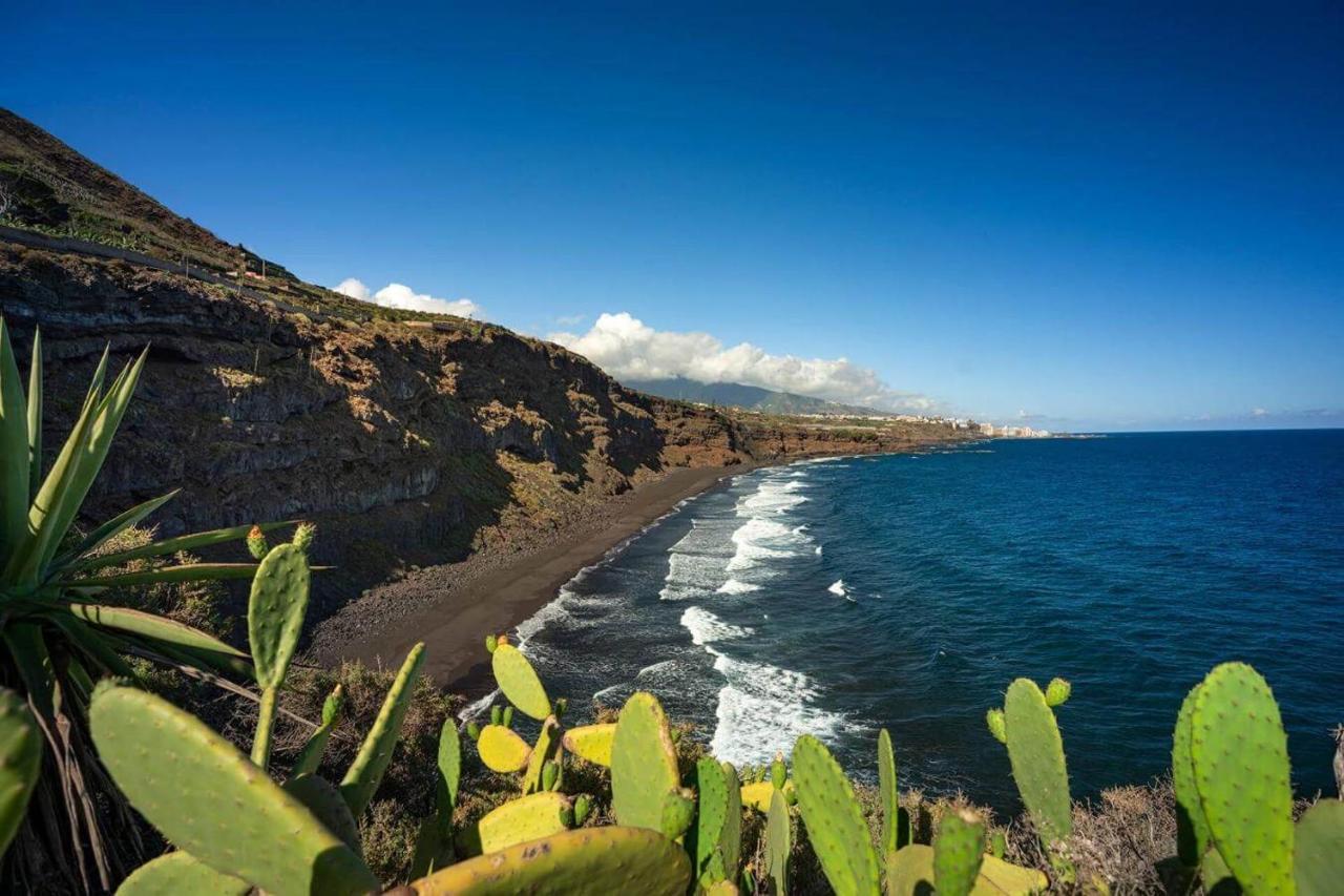 Dragos Del Mar , Espacio Natural La Orotava Kültér fotó